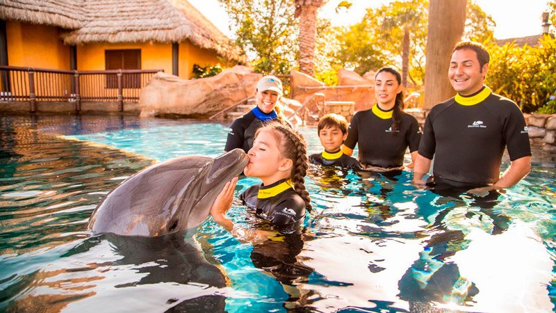 Discovery Cove